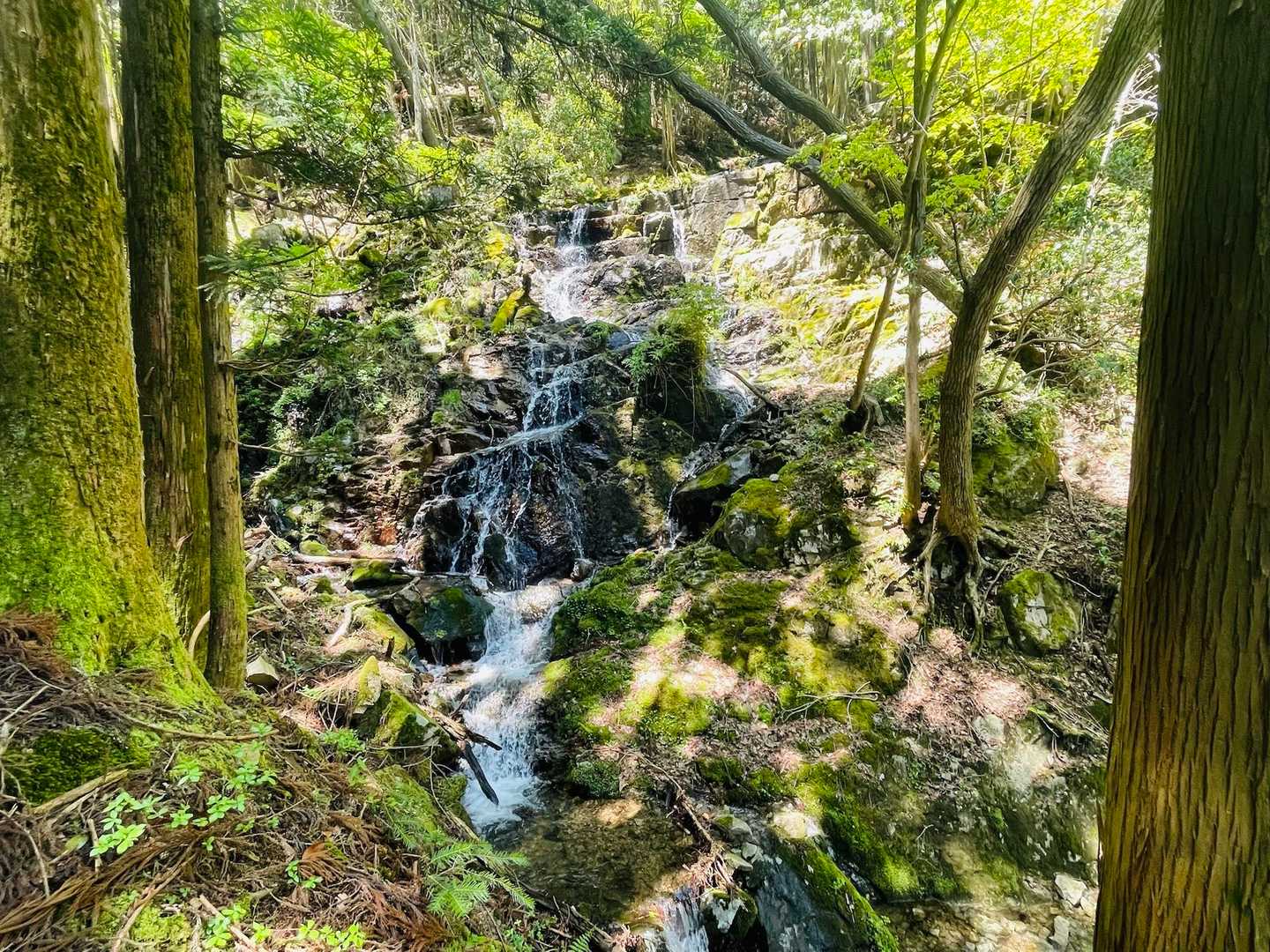 水の音が近くなったり遠くなったりしながら、岩肌を伝う細い流れが、道の横で静かに息づいています🥾✨