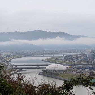 たい平桜の横からの眺望は良い😀
