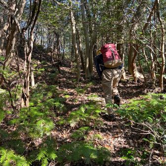 稜線が見えて来た❗️
