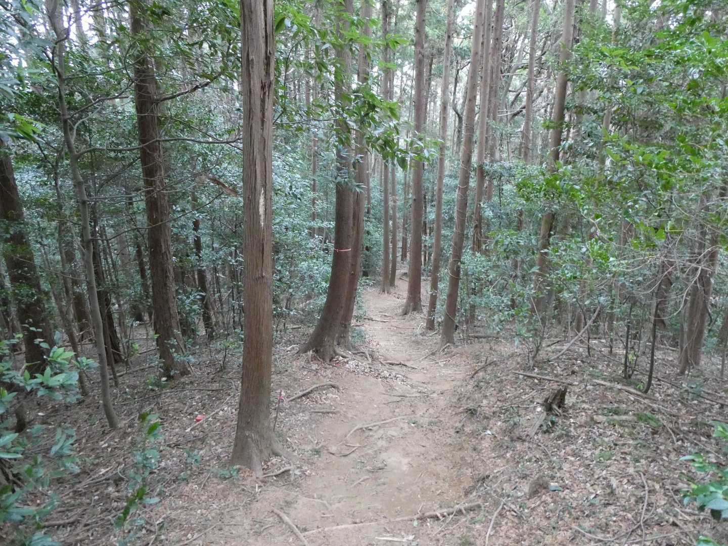 帰ります、帰りたくないけど、、、
ちょっと落ち込んできた😅