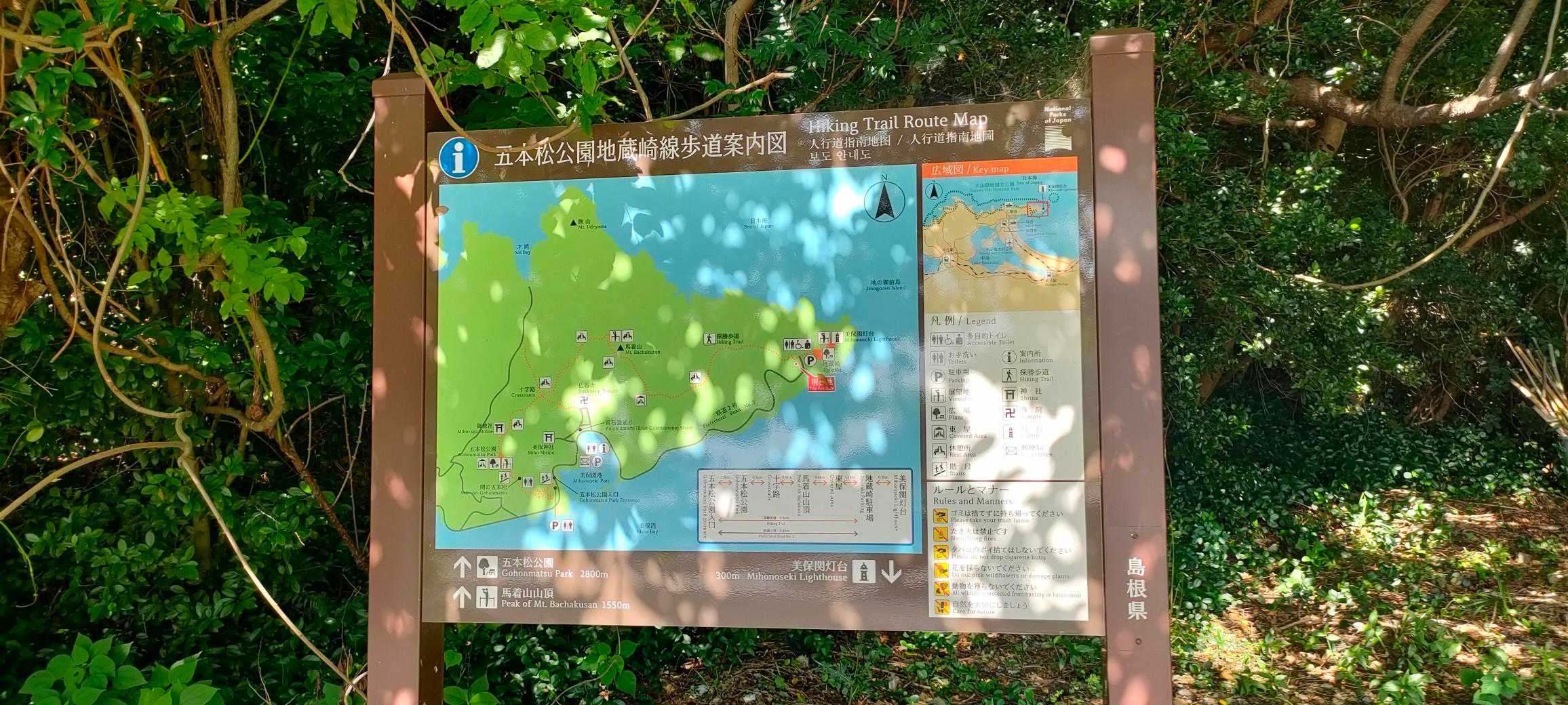 馬着山 往復コースの写真