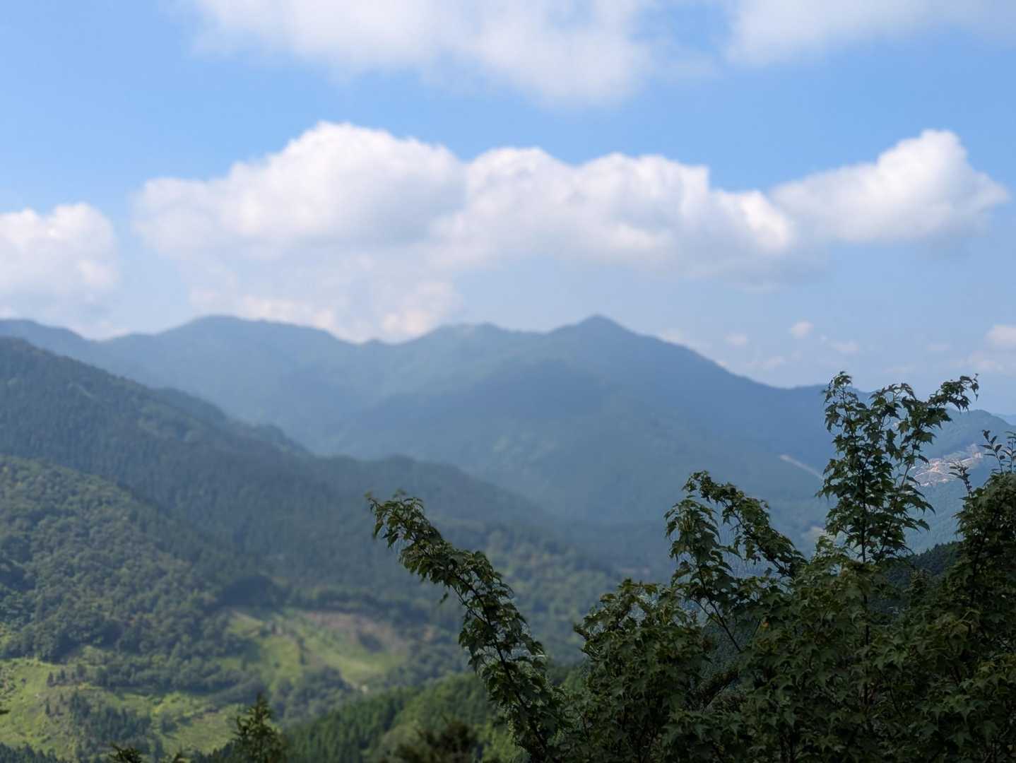 烏帽子山が見える！