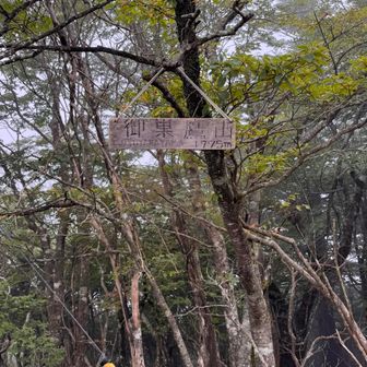 御巣鷹山登頂✌️