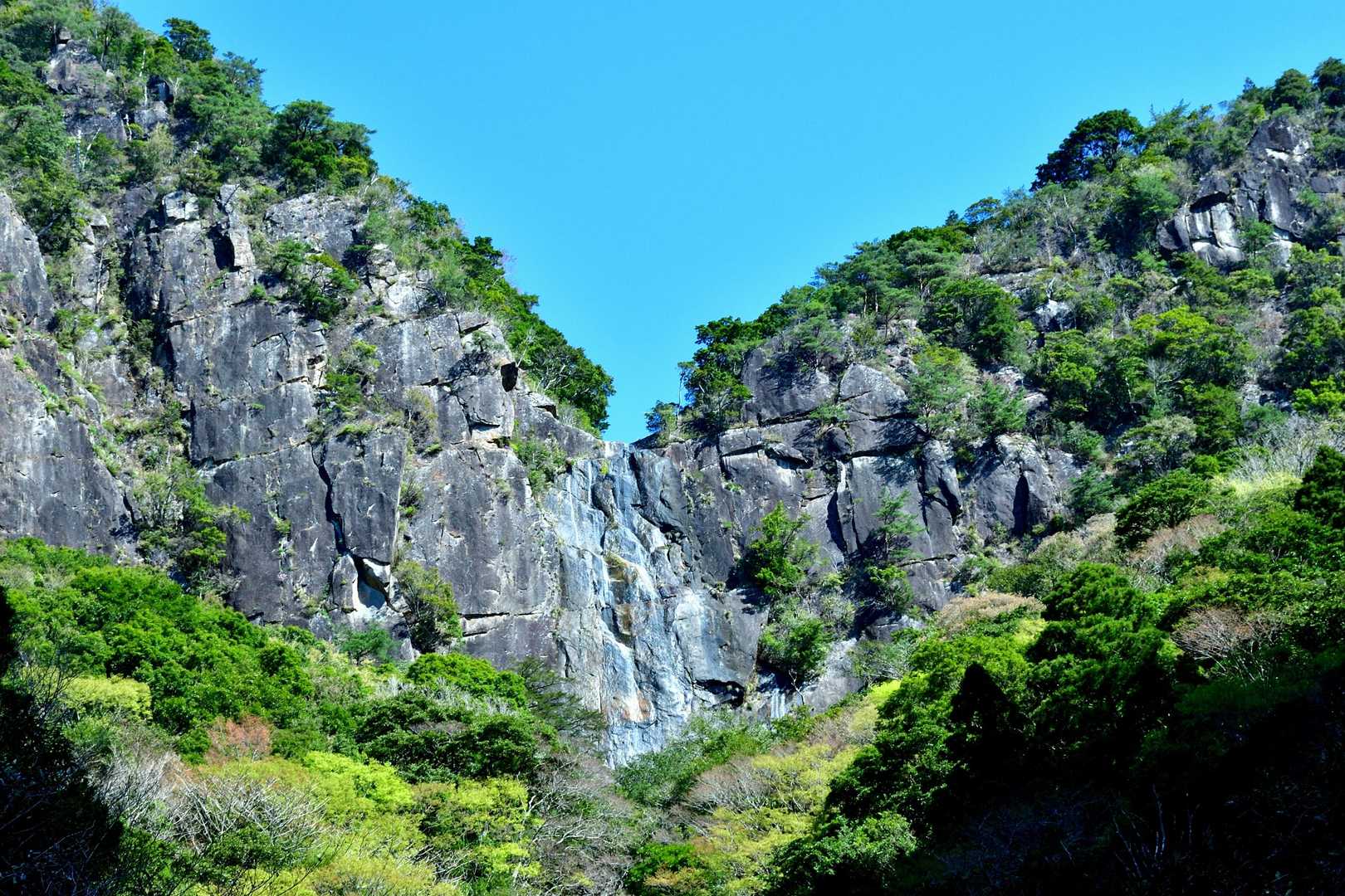 滝見橋へ到着です。
本日は天気も上々です。
行程は雌岳尾根の三つ葉つつじ、県民の森経由で山頂へと思ってるところですが？