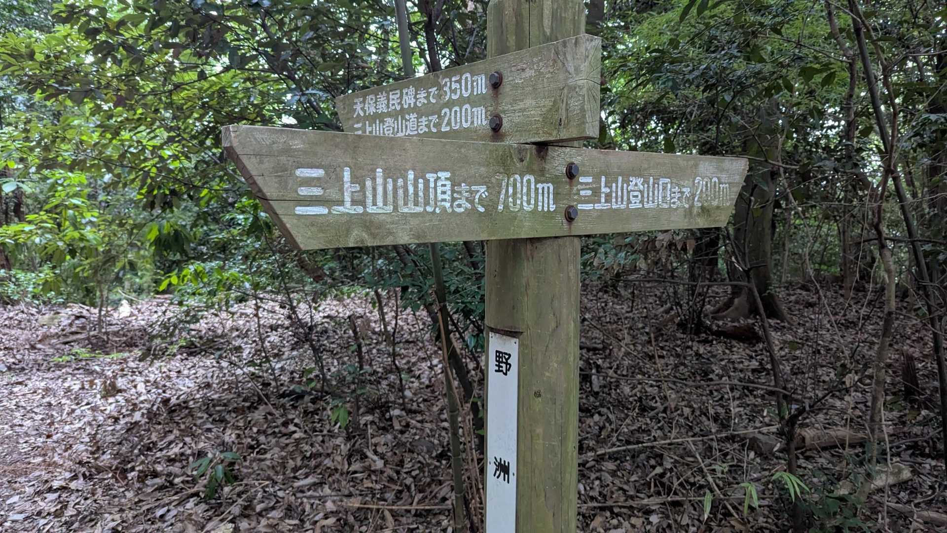 まだ、ここまでは足がどーのこーの、座りたいも言わなかった。