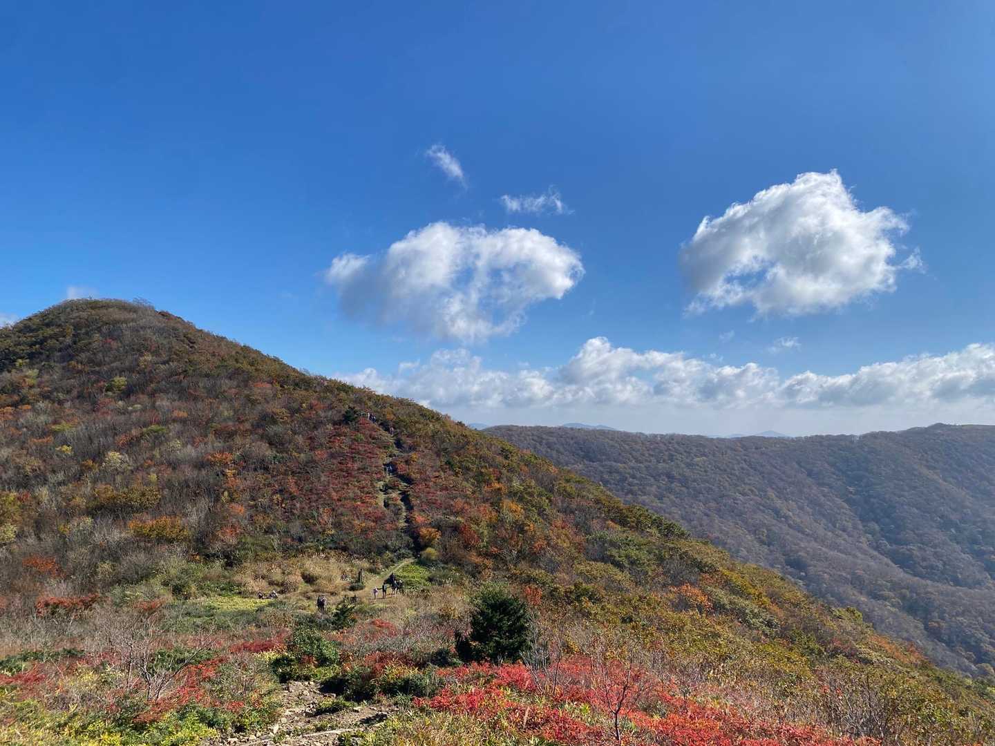竜王山への稜線はなだらかだ〜