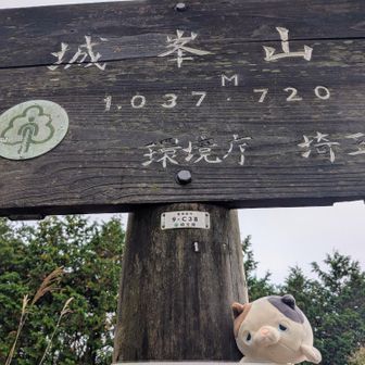 関百37座目〜✨