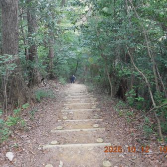 天狗岩に向かって階段状を下りていく