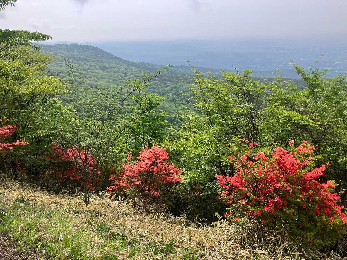 始めに鍋割山へ向かう、