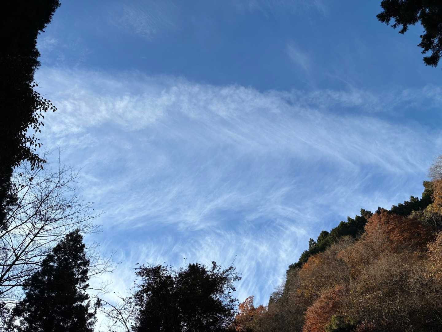青空綺麗だなぁー🩵