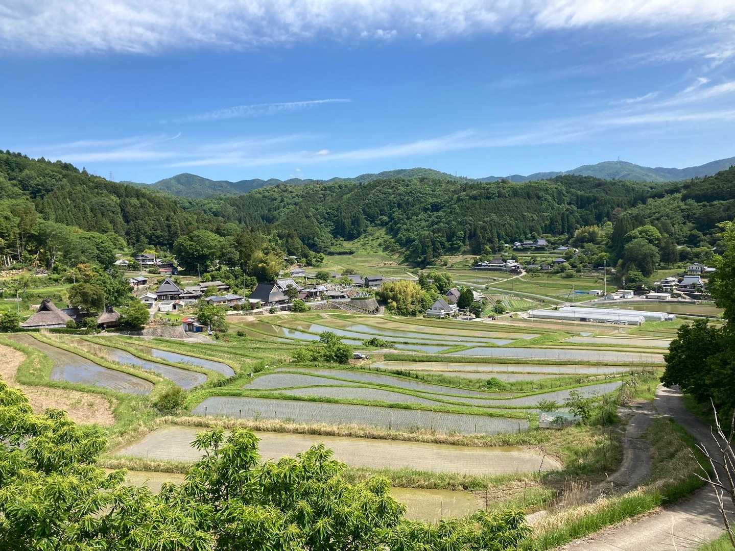 ゼフィルスの森入口-三草山-才ノ神峠-滝王山 周回コースの写真