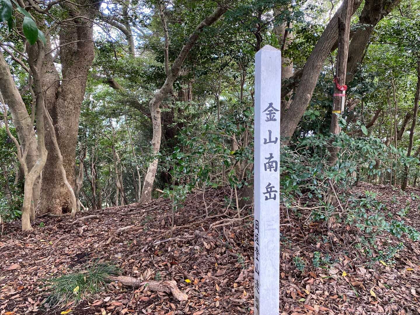 金山南岳の写真