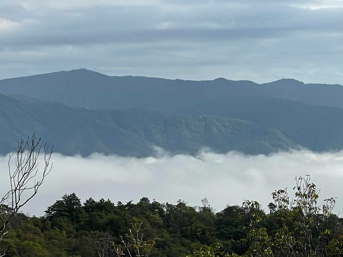 この景色は最高👍