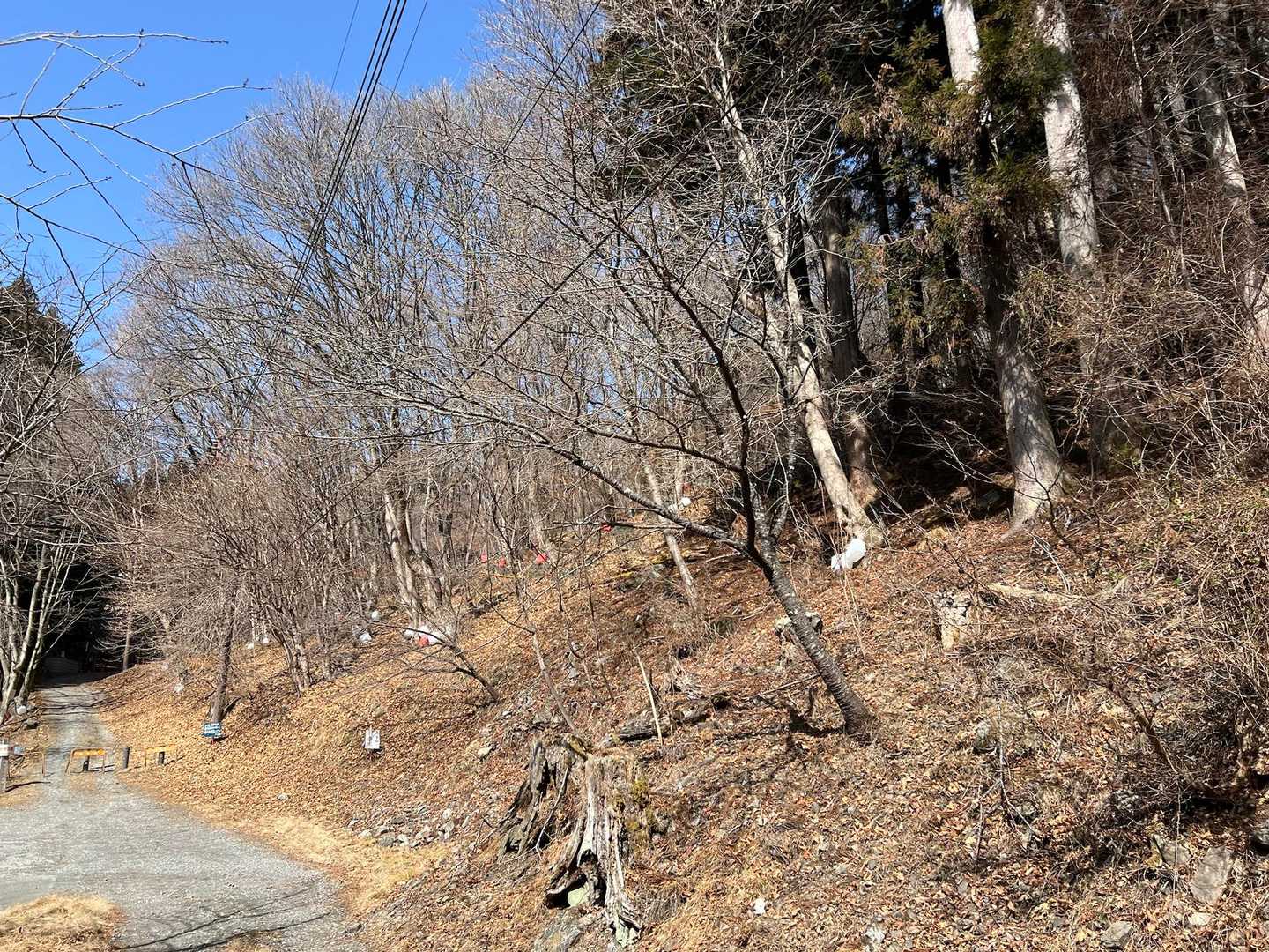 キャンプ場へ到着するが斜面にポリタンクがたくさんあるのは異様な光景😱