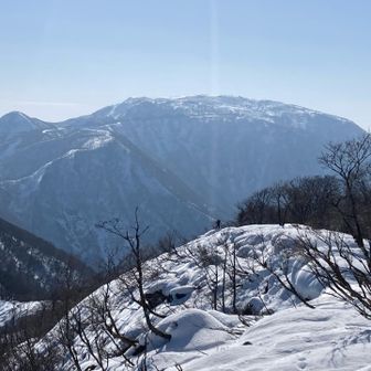 伊吹山✨
大禿山に行っていたビーブスさんが見えた(^^)
