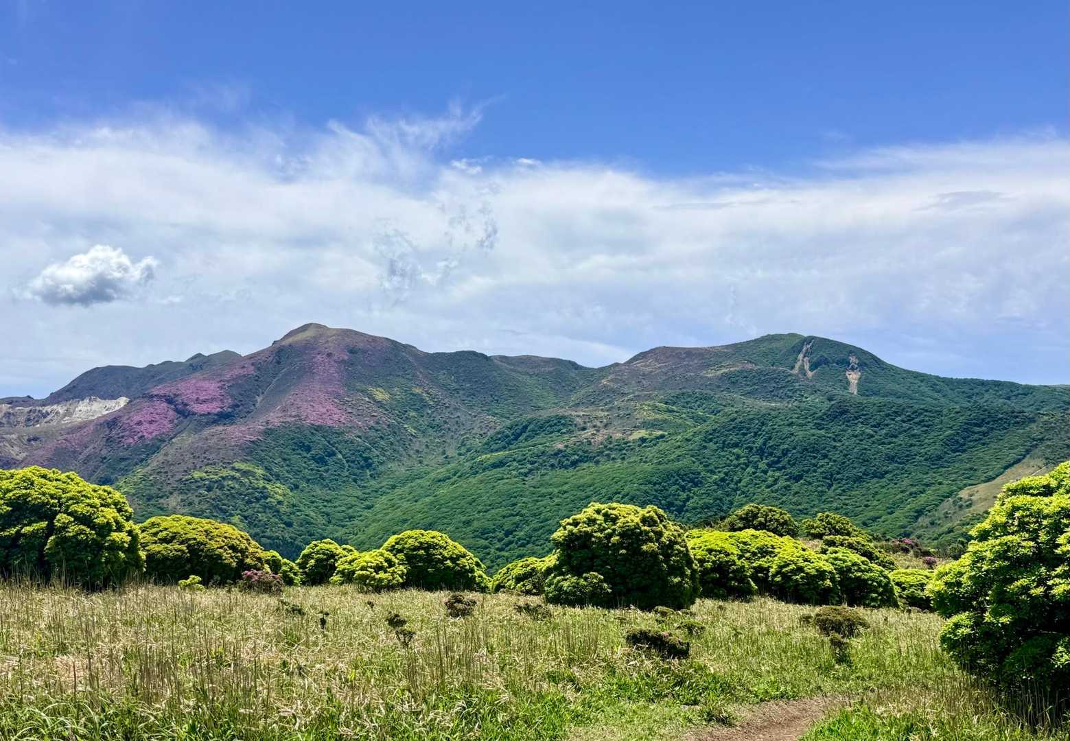 くじゅうの山々  