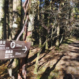 暫く緩登が続きます。