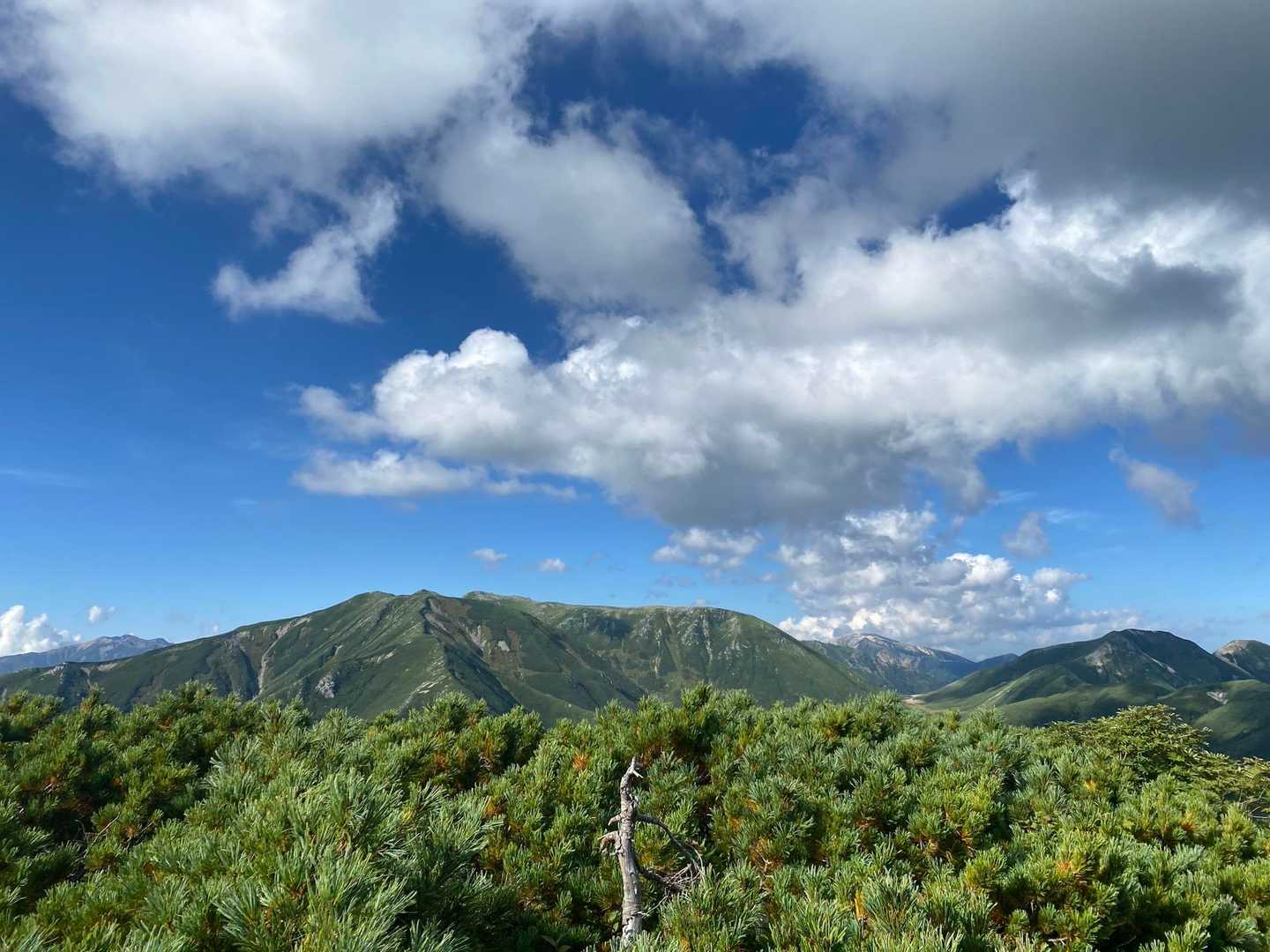 ここらが大ノマ岳山頂(標高2662m)になると思われますが標識等は見つけられませんでした。

中央右に双六山荘が見えます。
『調子が良ければ双六岳も加筆して長野県デビュー』をオプションで考えていましたが、病み上がりにはキツくてやめました(はい！ただの言い訳です😆)
