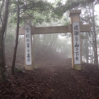 ありがとうございました