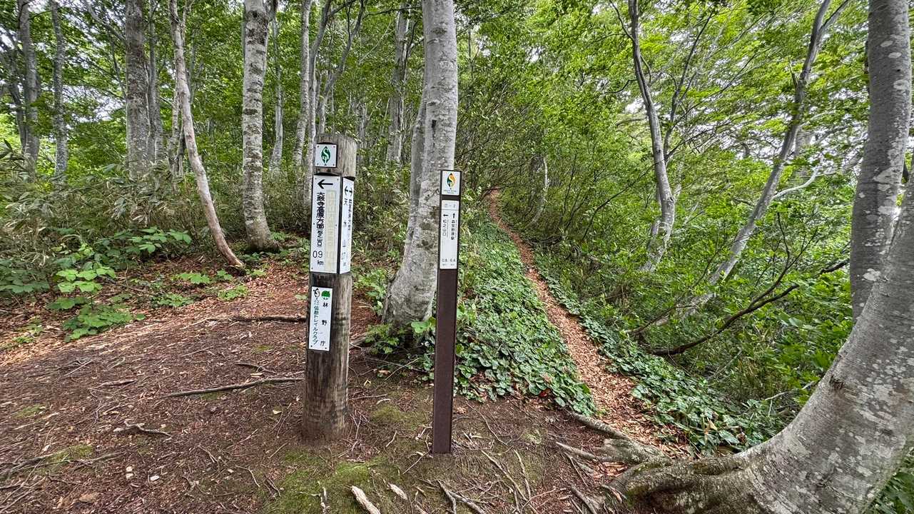 信越トレイル#4（sec.5-6-7／関田峠〜伏野峠〜野々海〜天水山〜森宮之原駅） の写真 66