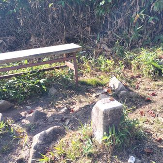 山頂部は結構広々してました。ベンチでしばし休息