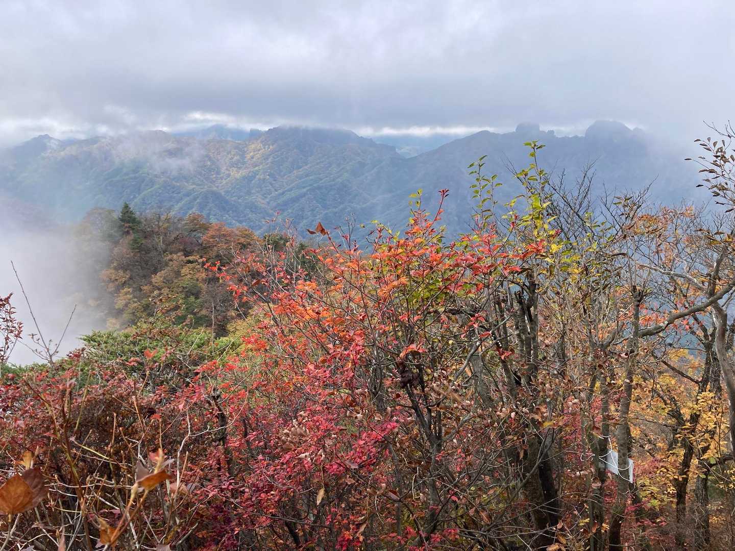 白雲山登山口-大のぞき-妙義山 縦走コースの写真