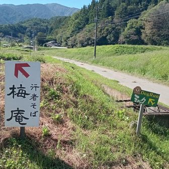間違えて三叉路を左上に行き、途中で引き返し、ヤレヤレです🥵　右です