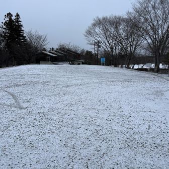 安定のノーヒューマン😊