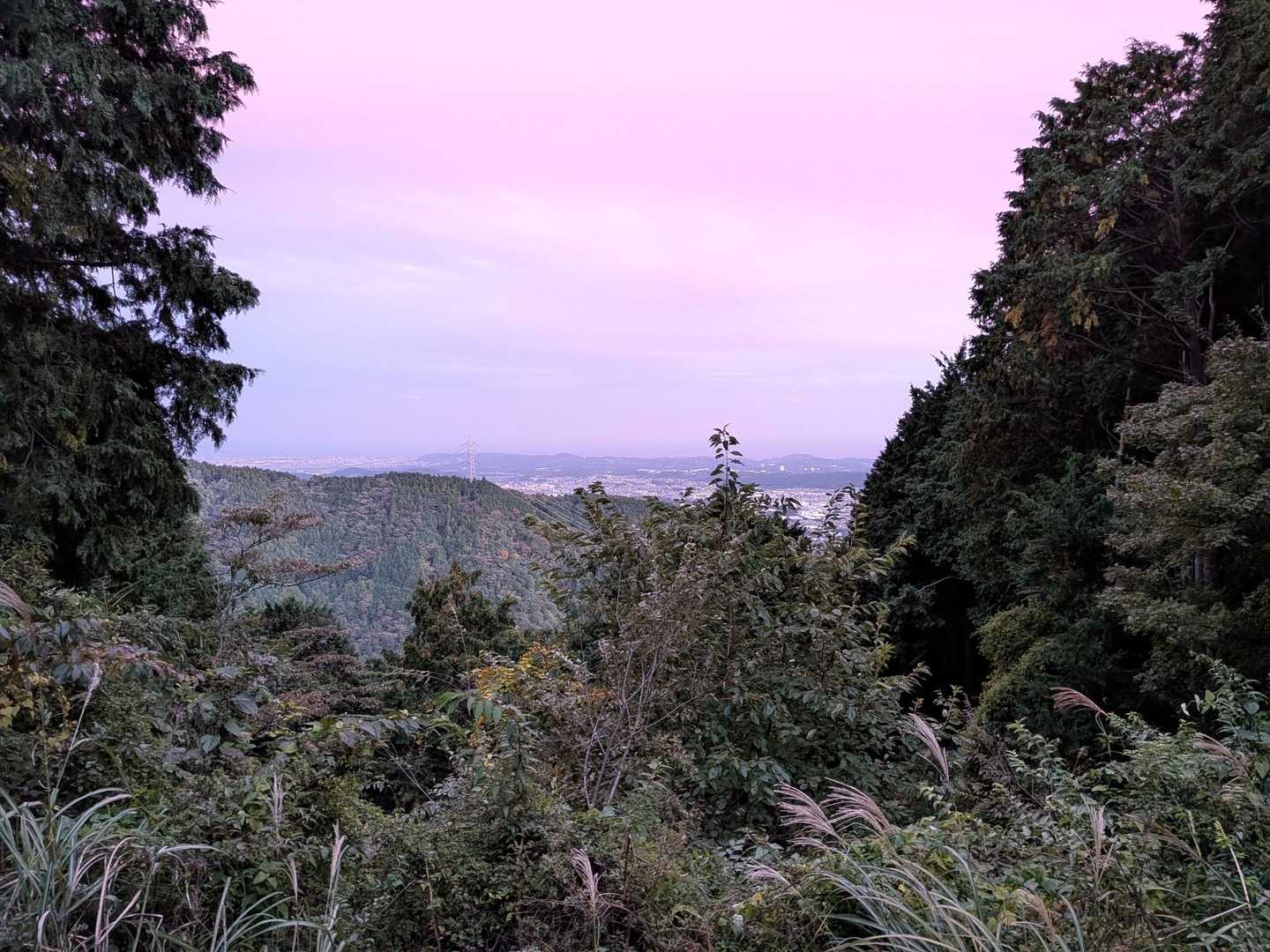 ヤビツ峠-表尾根-塔ノ岳-大倉尾根 縦走コースの写真