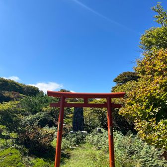 よく見るところ