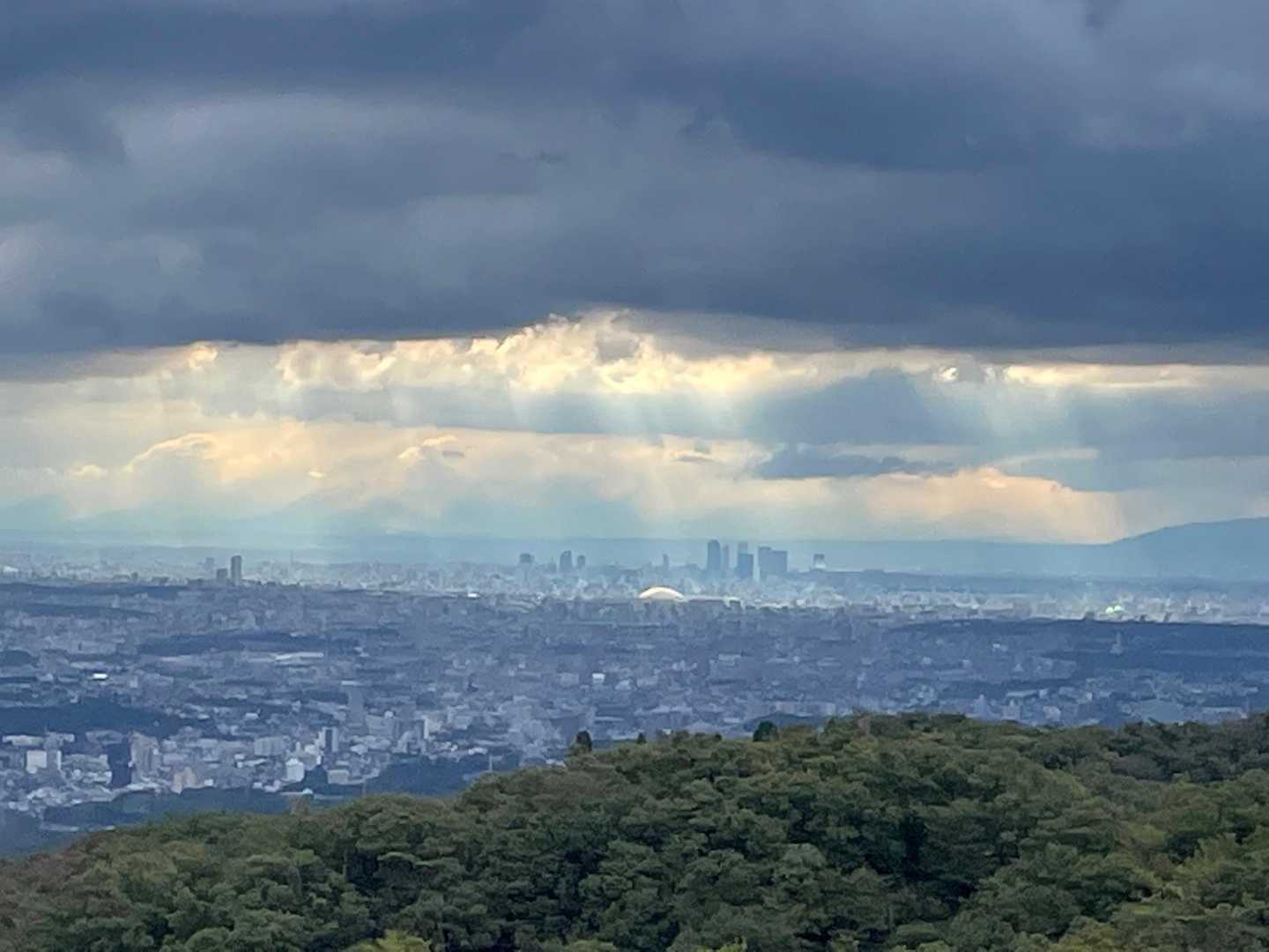 元岩巣山 往復コースの写真