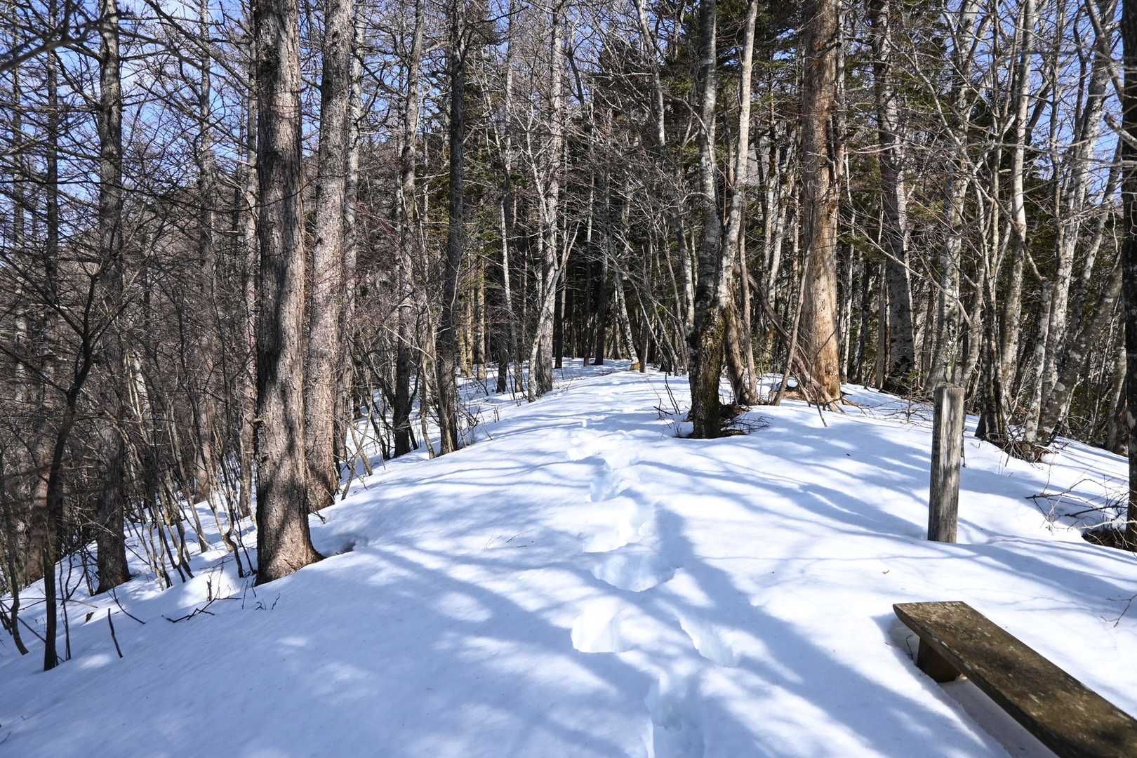 御正体山に向けて雪が深く成って行きます😅