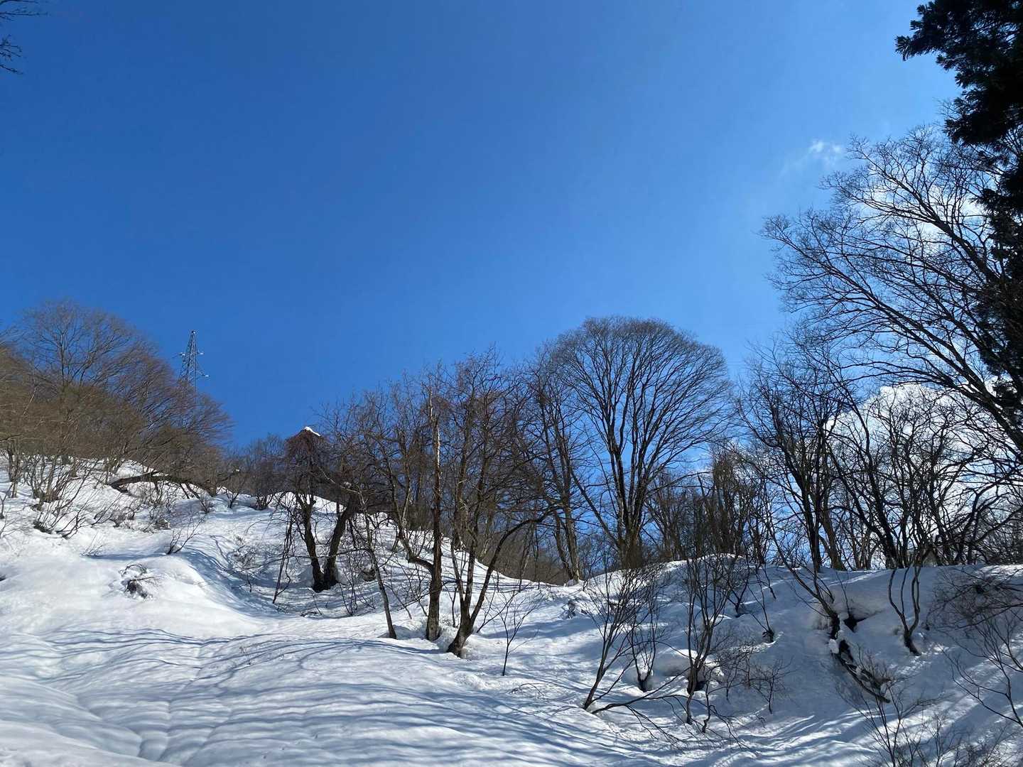 眩しいけど、サングラス🕶️外して眺めてみる