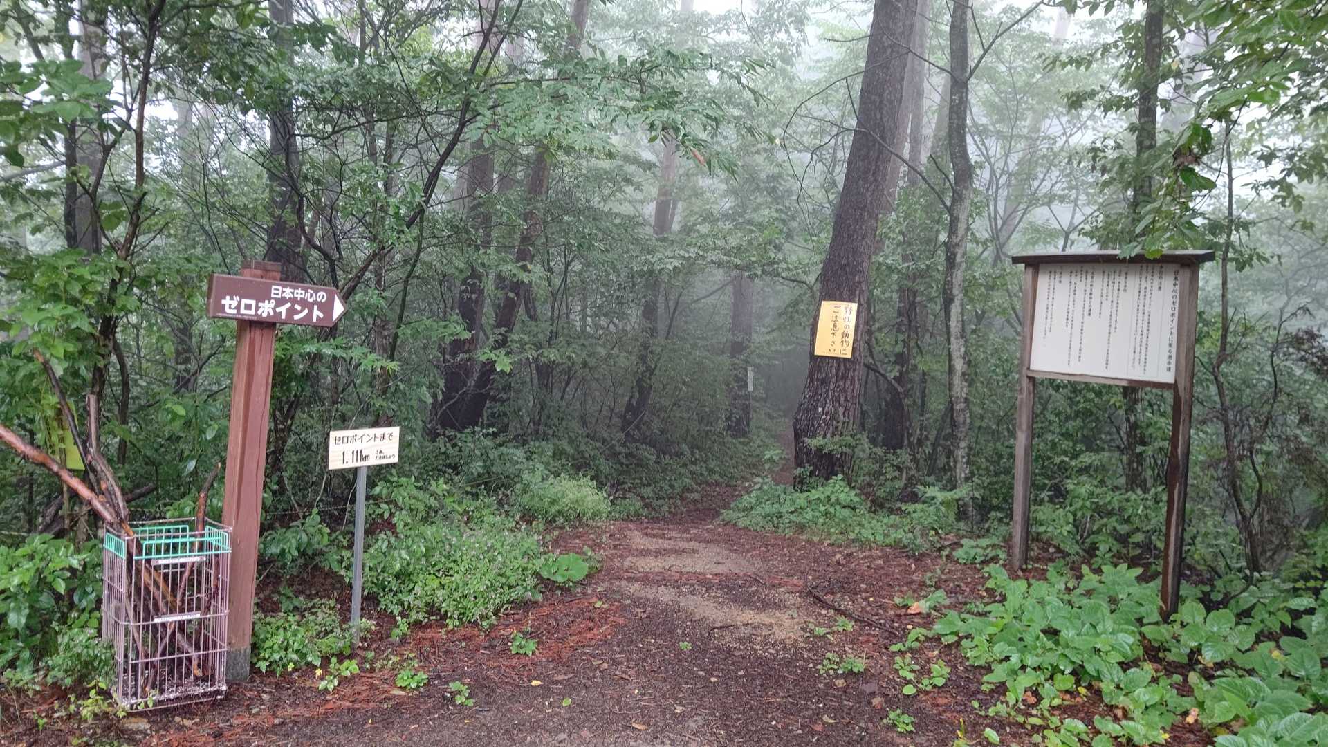 大城山 往復コースの写真