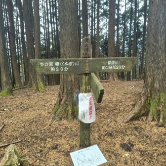 栗ノ木洞とうちゃく！908m
ひとり🥖モグモグタイム
すっかり曇天に