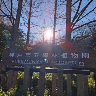 朝日がまぶしい～☀