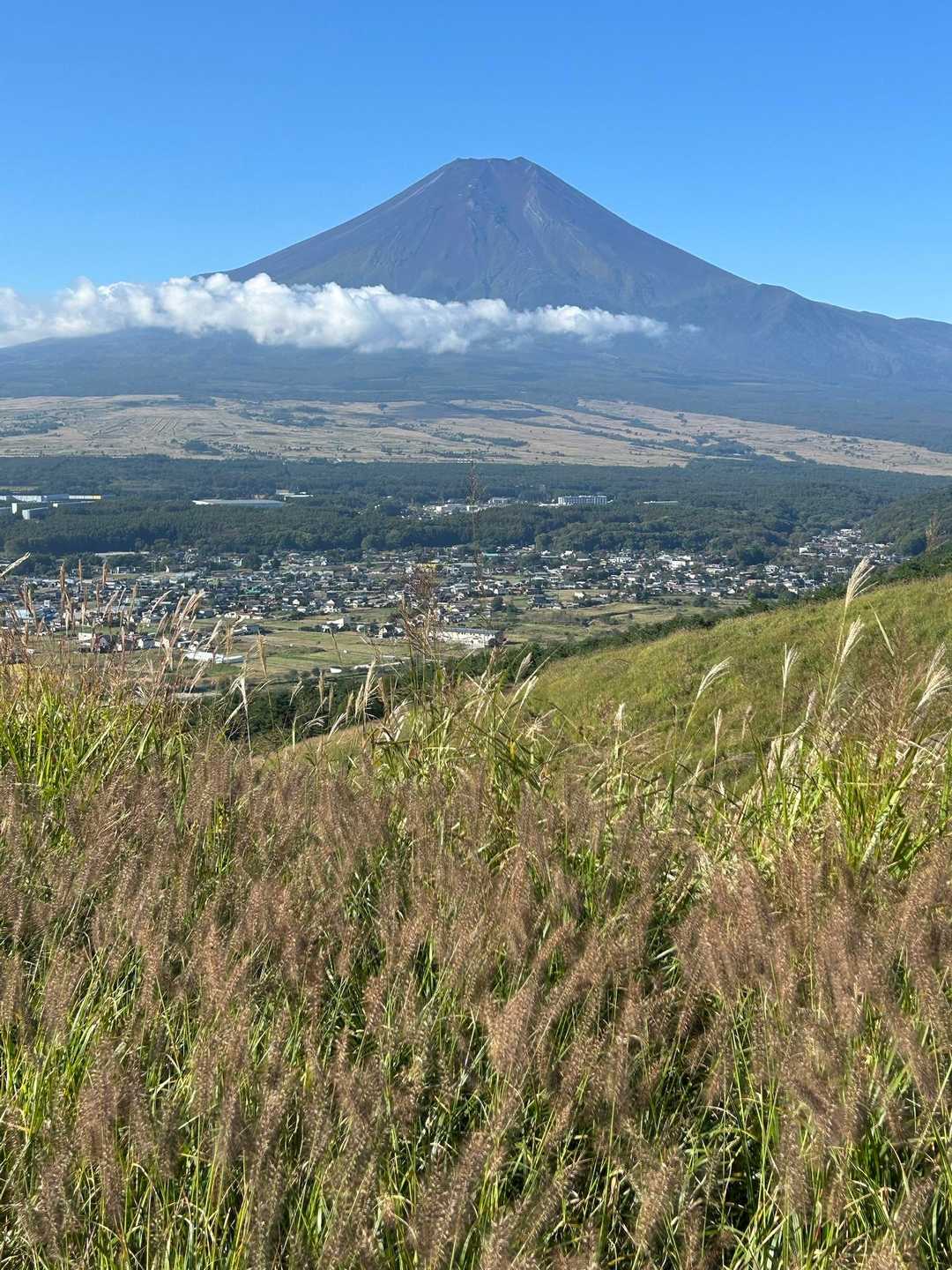富士山を望む道が続く。