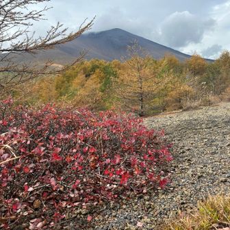 ホントに小浅間山の景色は好きです🥰
とてもお勧めしたいです🏔️

前回より景色が良く見える
紅葉も綺麗で🤩