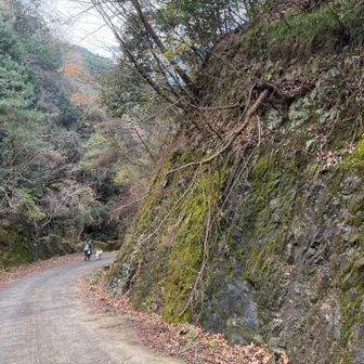 所々に迫力のある岩肌