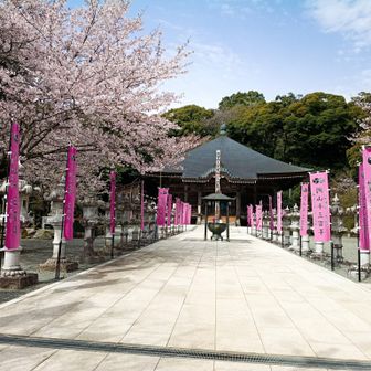 長谷寺
ちょっとだけ晴れました