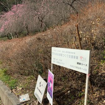 ポケットパークに車止めて、健脚コース向かうも、最初から道迷い

駐車場に大きな地図あったけど理解できんかった