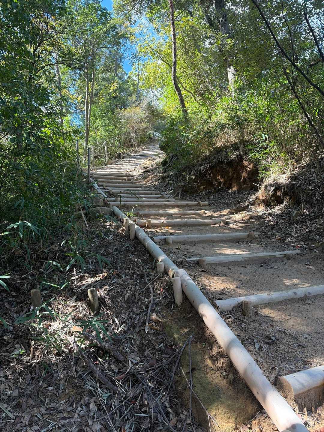 再度山から散策路に戻って、鍋蓋山へ
とても整備が行き届いていて歩きやすい道です