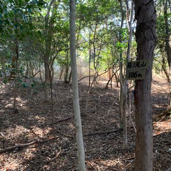 少々急ではあったが、ほどなく槙ノ尾山いただきへ
その昔、ここには寺か城があったにちがいない。