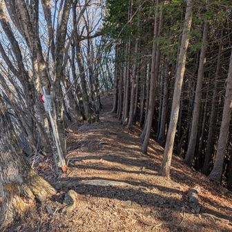 こういう道ならいいんだけどね