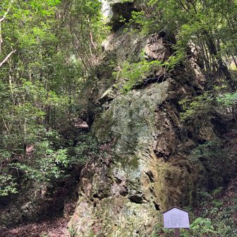 医王岩から二十二曲がりへ・・・・

しおんじ山はパス。