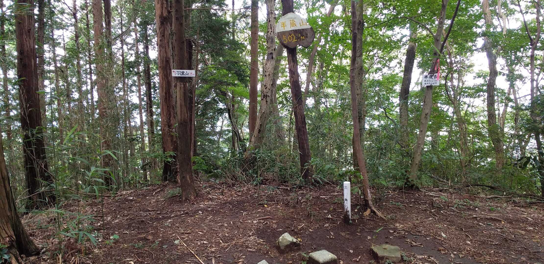半蔵山の写真