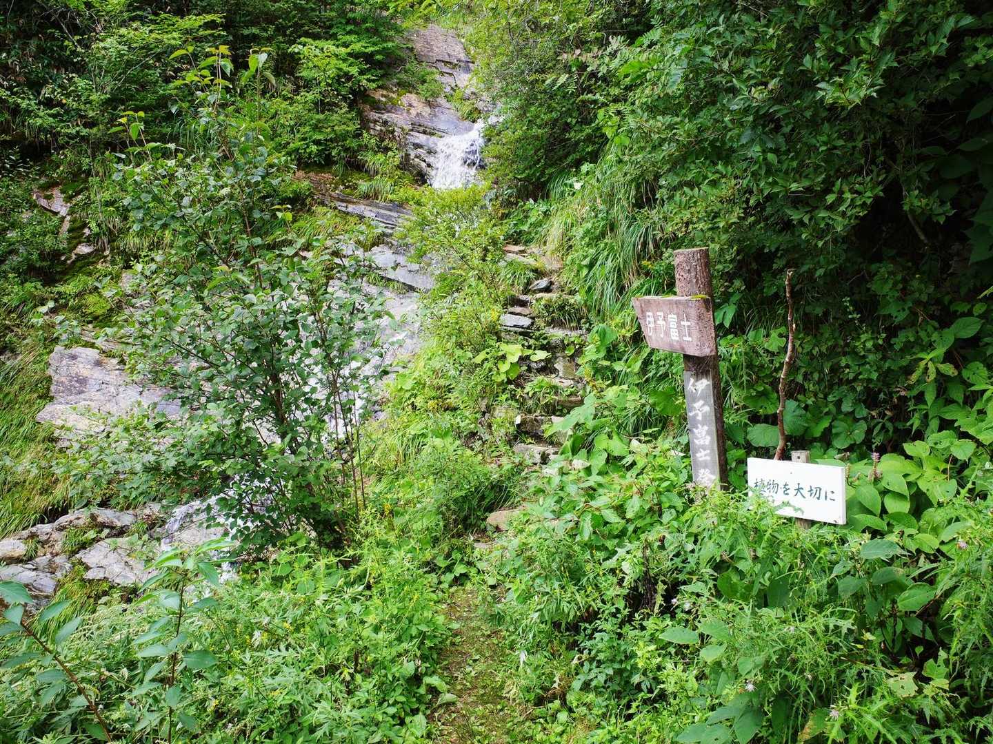 伊予富士登山口から登ることはめったにない（通常は寒風山登山口から）
