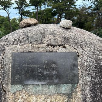 中身ちょっと怖い内容