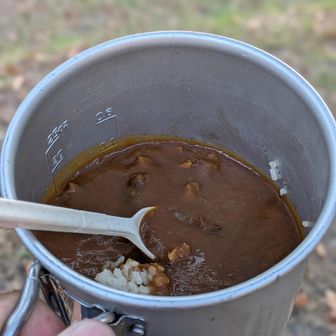 カレー🍛投入