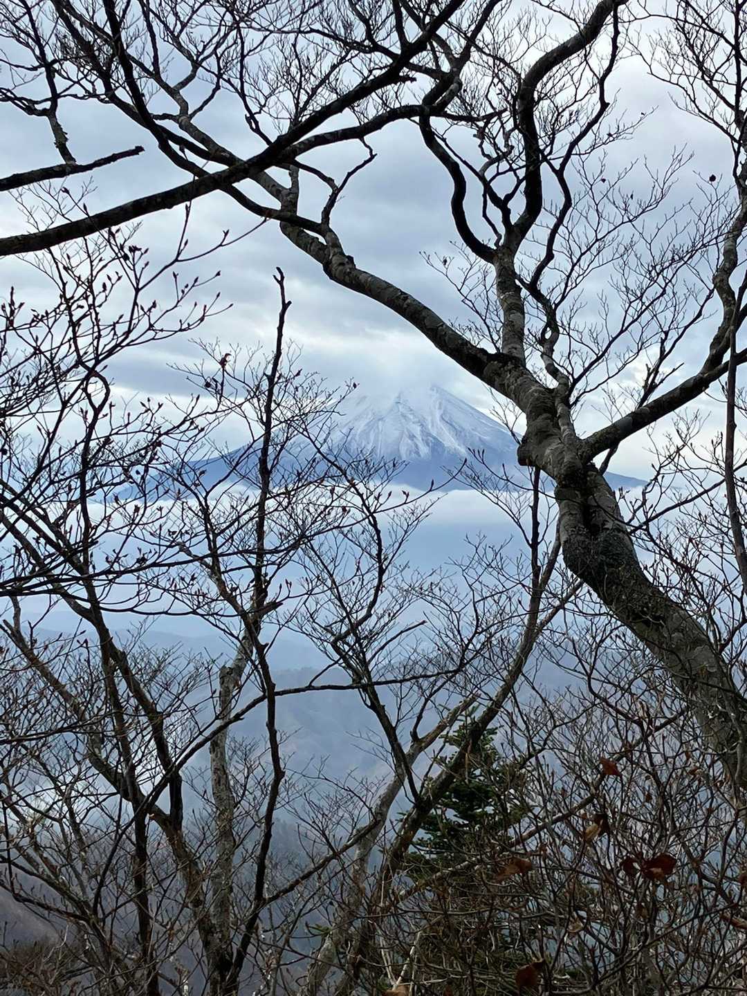 御正体山 往復コースの写真